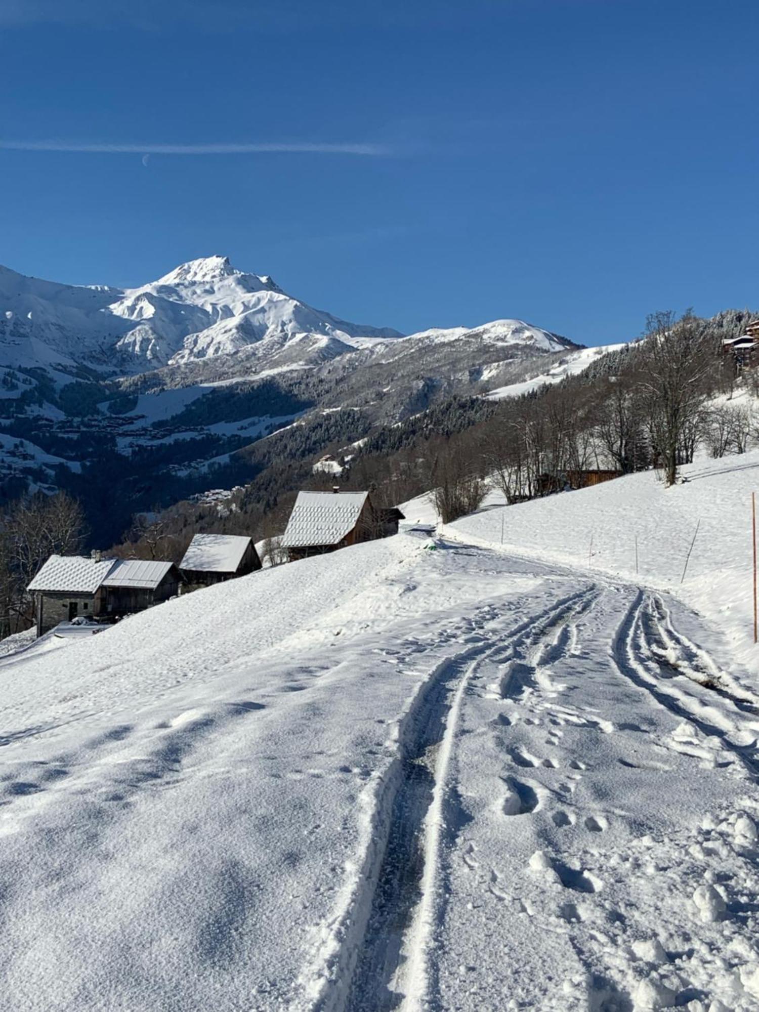 Chalet Confidentiel Valmorel - Chalet De Haut De Gamme 4 Etoiles 12 Personnes Doucy Exterior photo